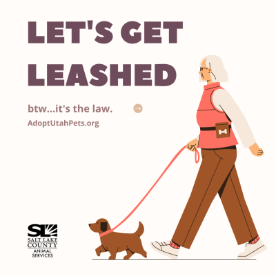 Salt Lake County Animal Services Let's Get Leashed